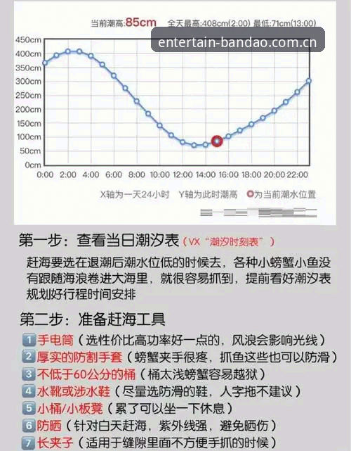 半岛体育平台互动功能完整指南：从新手到高手的每一步